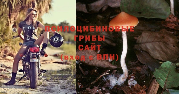 ешки Алзамай