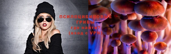 не бодяженный Семёнов