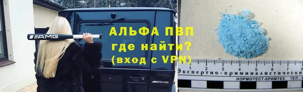 индика Семикаракорск
