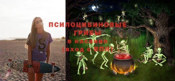 ешки Алзамай